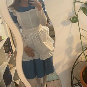 Alice In Wonderland Costume
